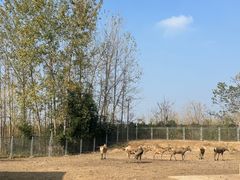 -宿豫区运河湾森林动物园