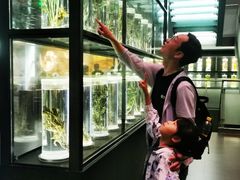 -广东中医药博物馆