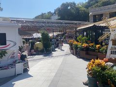 -京北渔家傲