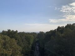 -灵谷景区