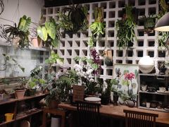 -自由生长植物工作室(深港花卉中心店)