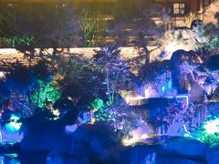-南宁荔园维景国际酒店·荔园中餐厅
