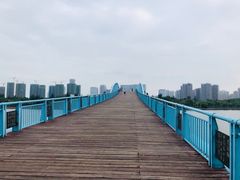 -五缘湾湿地公园