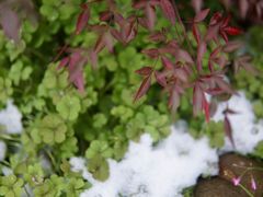 -白塘生态植物园