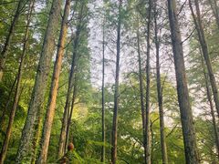 -波尔登森林公园