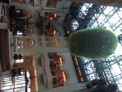 iphone_upload_pic-深圳东部华侨城茵特拉根酒店