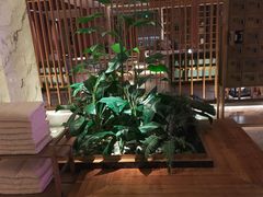 -浅深(北京北四环精品店)