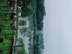 -洪湖悦兮半岛国际温泉度假村