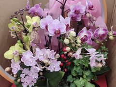 -盒马X会员店(王府井奥莱UP TOWN店)