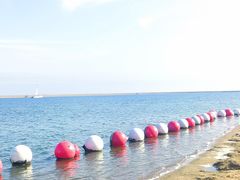 -碧海金沙