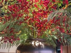 -在前门·烤鸭北京菜(五月花广场店)