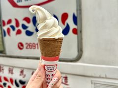 -富豪雪糕车流动点(尖沙咀)