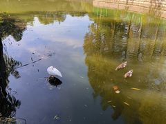 -黄兴公园