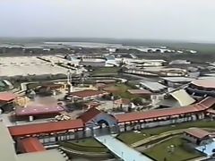 -中加枫华国际学校