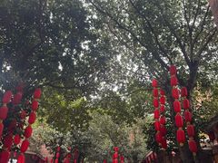 -茂德公鼓城