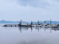 -华侨公园