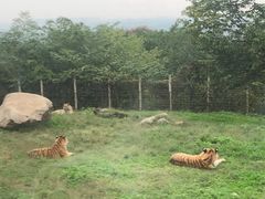 -西安秦岭野生动物园