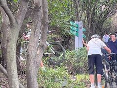 -杭州半山国家森林公园