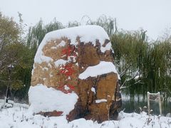 -护国法轮寺