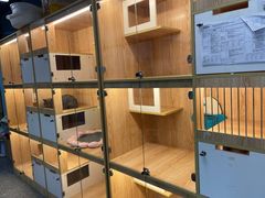 -小呆的宠物店·宠物售卖·宠物寄养(城西店)
