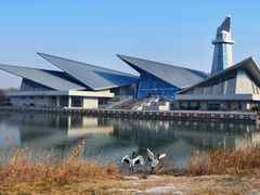 -盐城丹顶鹤湿地生态旅游区