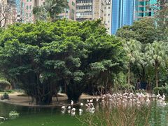 -九龙公园