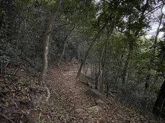 -狮子山郊野公园