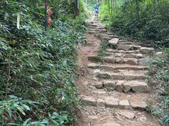 -莫干山风景区