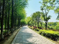 -苏州太湖国家湿地公园