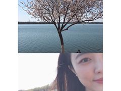 -丁香湖公园