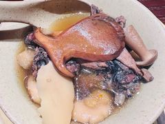 -滇野云南野生菌餐厅(陕西南路店)