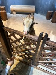 -酷嗒动物文化乐园(cutezoo西溪乐天城店)