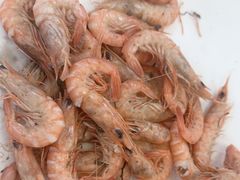 -良友·海鲜青岛菜·海肠捞饭(五四广场店)