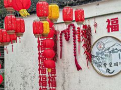 -同里国家湿地公园