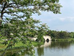 -眉山湿地公园(东坡区)