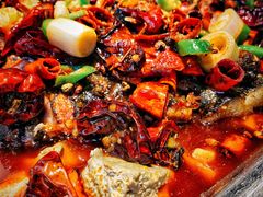麻辣豆花烤鱼-喵探烤鱼·活鱼烤(北唐总店)