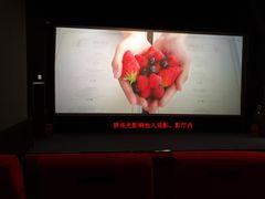 -UME影城(中国巨幕高新店)