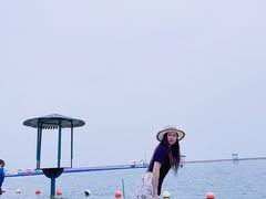 -碧海金沙