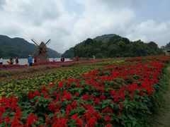 -广州市石门国家森林公园