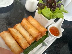 -Fern Forest Cafe