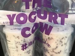 -一只酸奶牛(曲江龙湖星悦荟店)