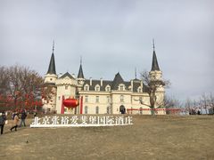 -北京张裕爱斐堡酒庄