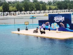 -秦皇岛乐岛海洋王国