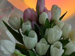 -Flower in(密渡桥店)