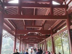 -重庆彩云湖湿地公园