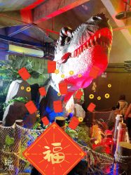 -恐龙探索乐园(磁器口店)