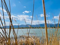 -野鸭湖国家湿地公园