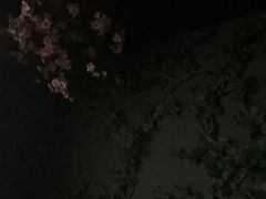 -新盈光·心院(嘉恒广场店)