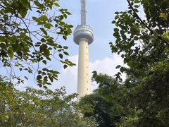 -胜景山庄柴火鸡