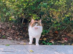 -苏州河梦清园环保主题公园